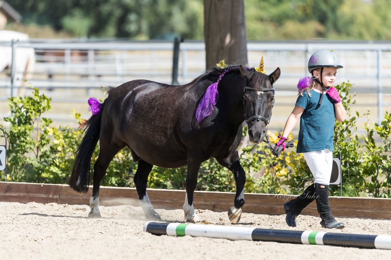 Bild 181 - Pony Akademie Turnier